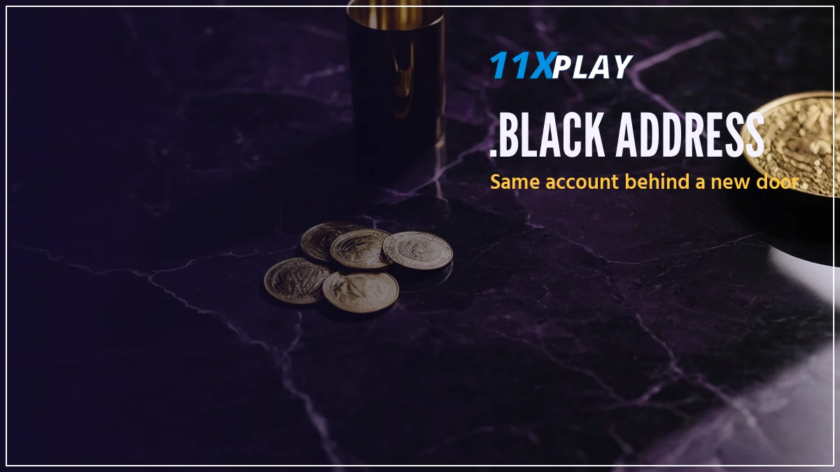 Cricket fan checking the 11xPlay Black login on a phone during a live match