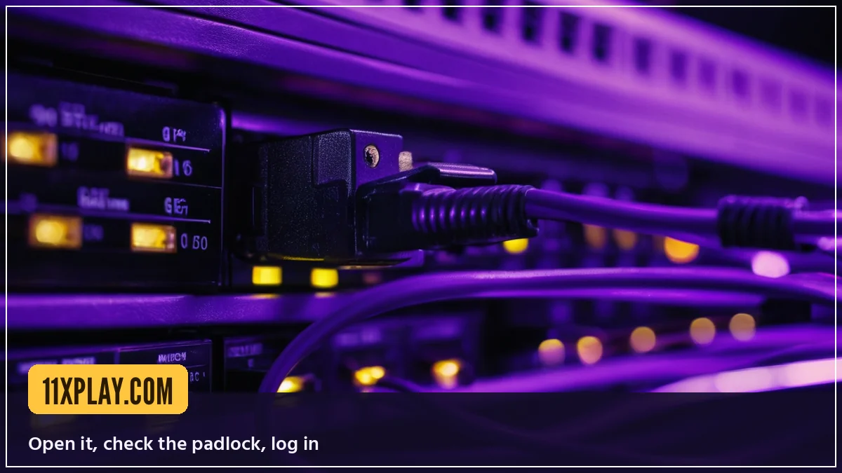 11xplay com user switching to another 11xPlay address with the same ID and balance